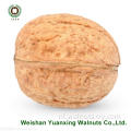 Hot Sale Goods Walnut Kernels Light Pieces